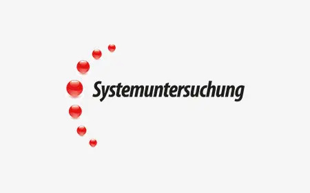Systemuntersuchung Logo